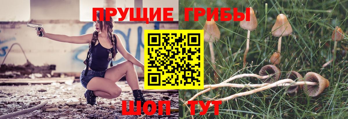 Псилоцибиновые грибы Magic Shrooms Камень-на-Оби