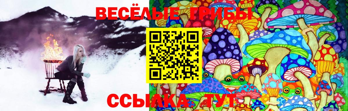 где продают наркотики  Псилоцибиновые грибы MAGIC MUSHROOMS  Вход с VPN  Камень-на-Оби 